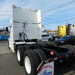 In excepteur occaeca